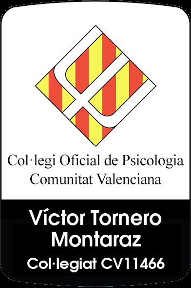 Víctor Tornero Montaraz-6