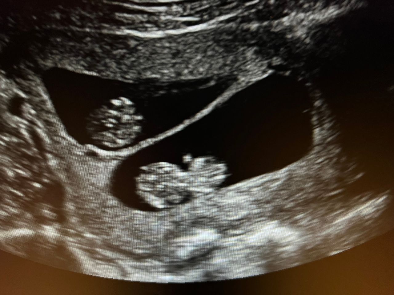 Magdalena Ziętara-4