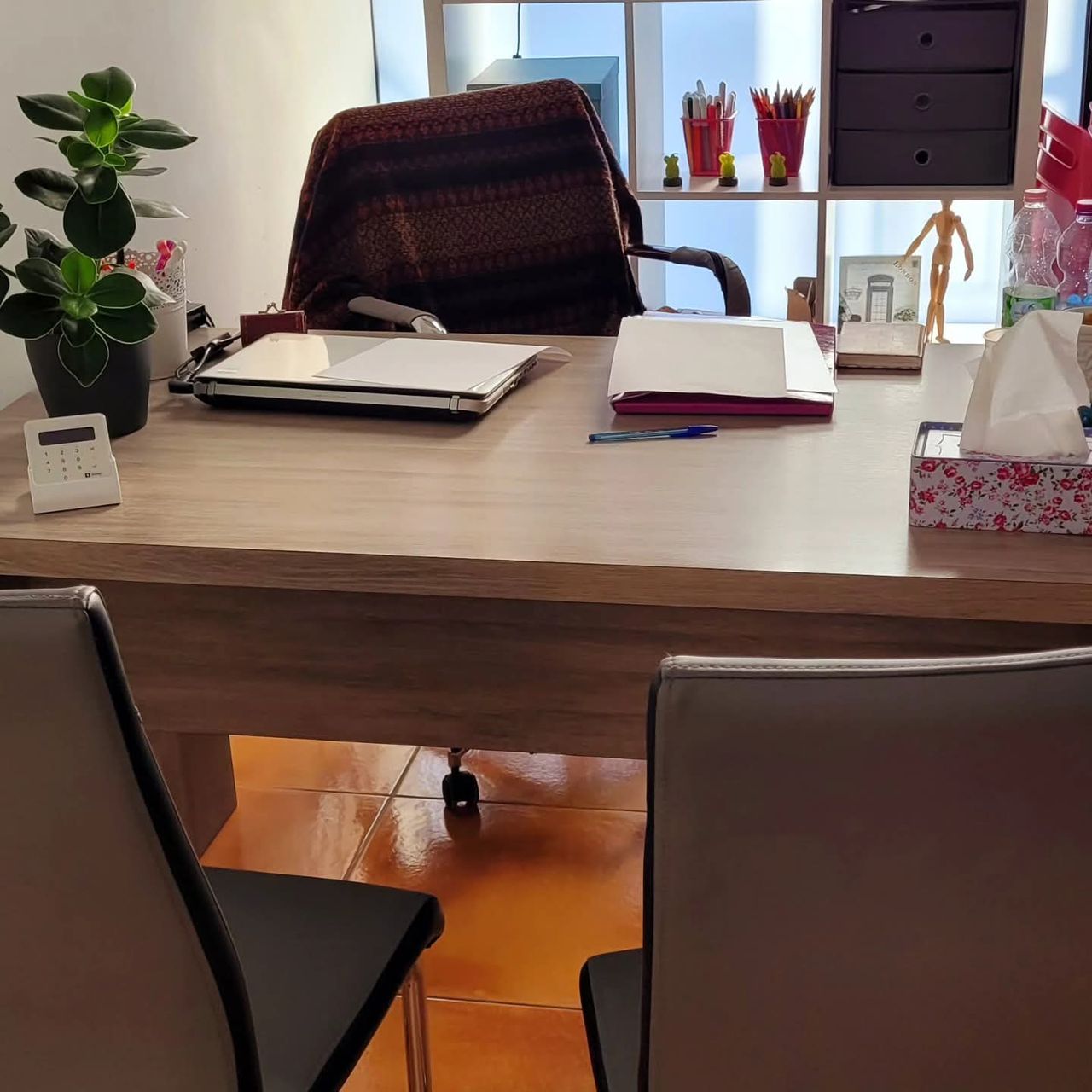 Irina Marilene Dal Santo-1