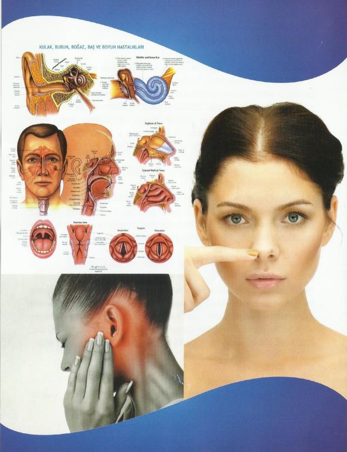 Mehmet Zafer Şentürk-1