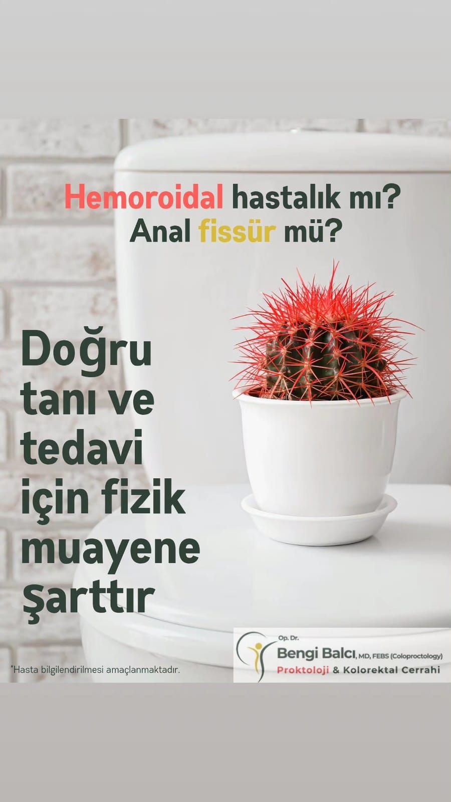 Bengi Balcı-4