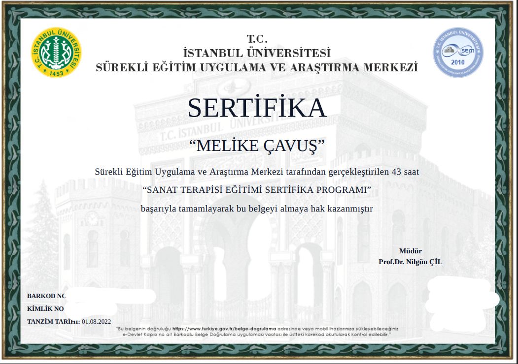 Melike Boylan-3