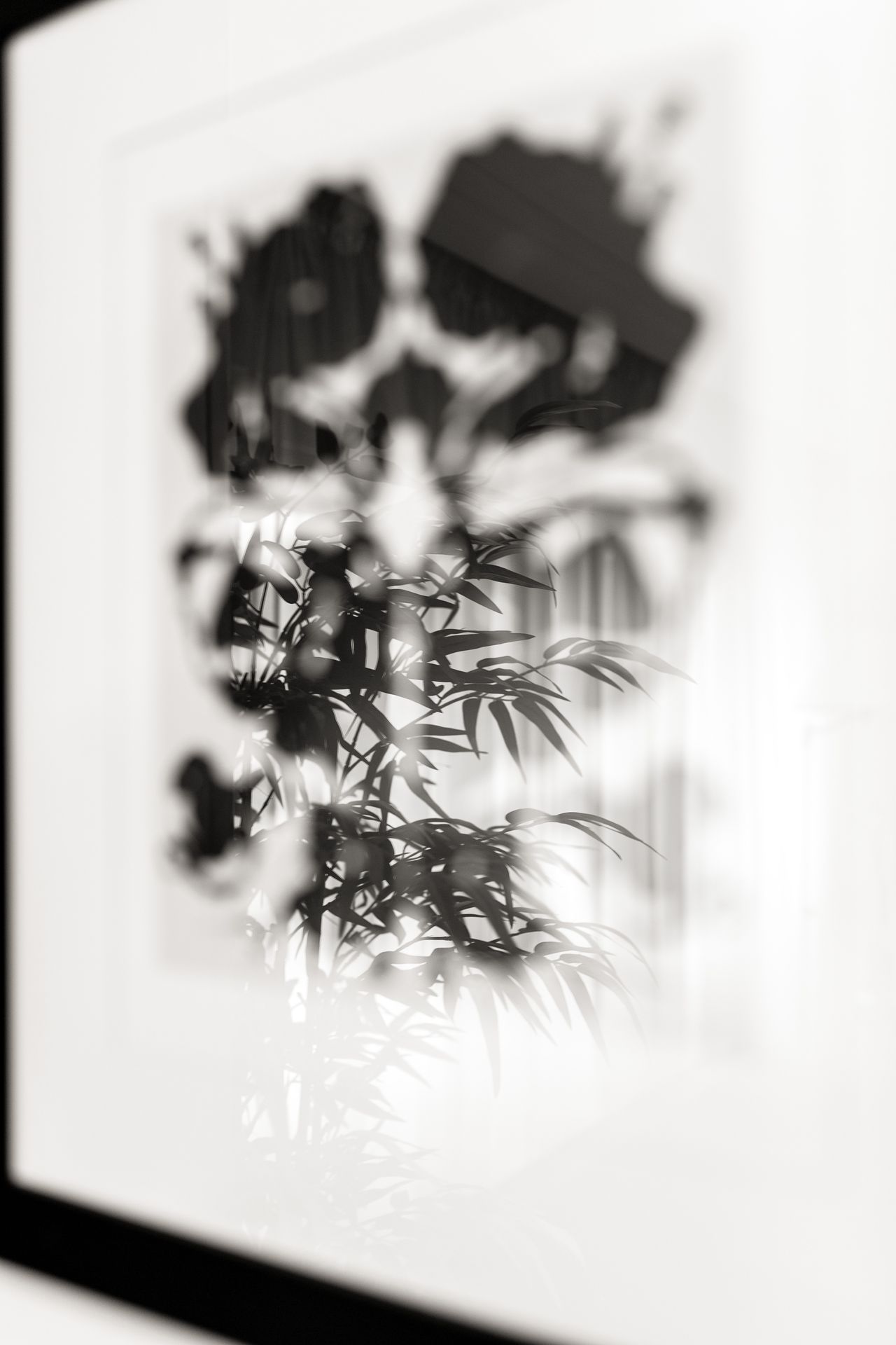 Iván Lerma Carrillo-2