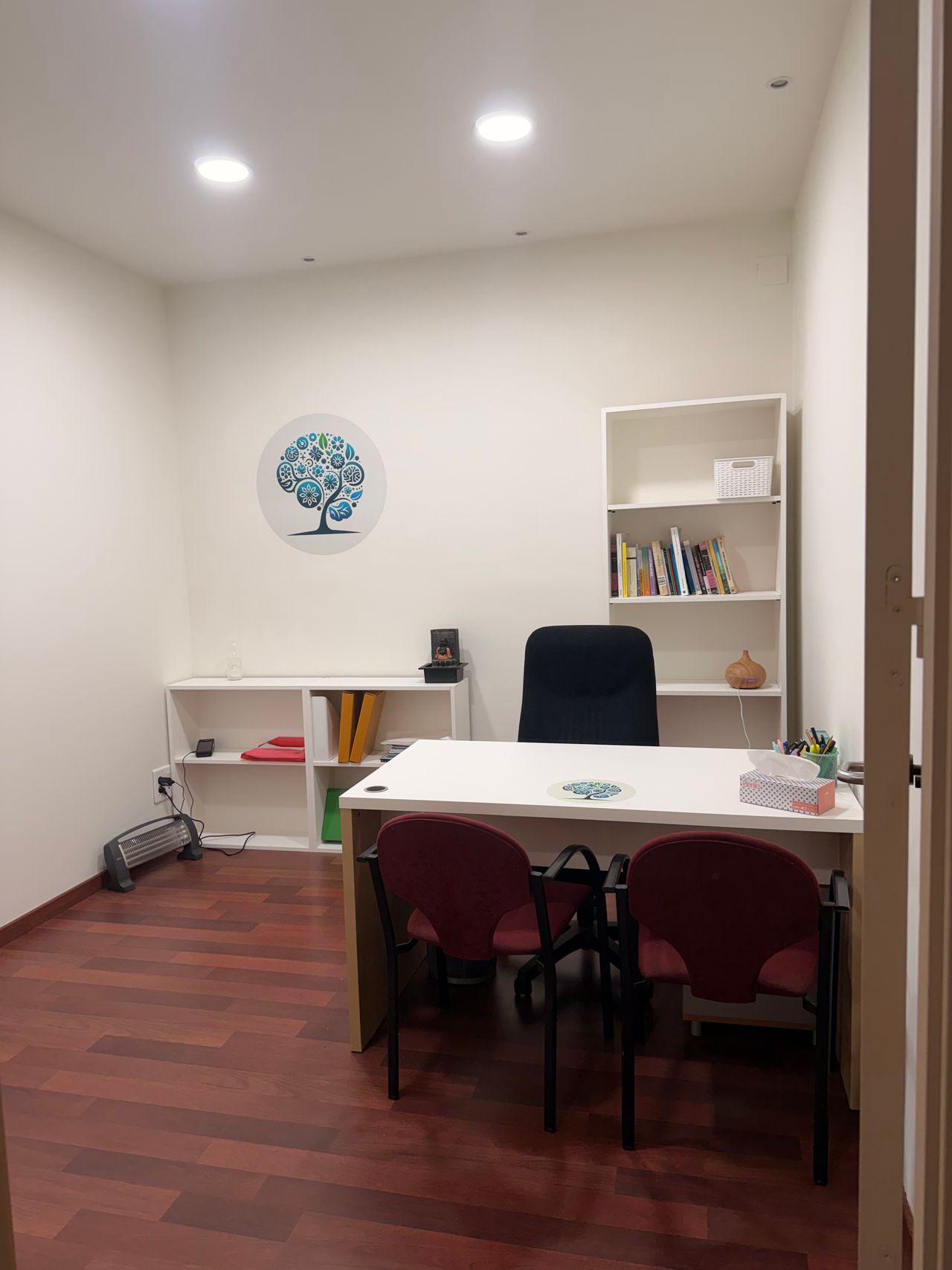 Mercedes Imberti Data-0