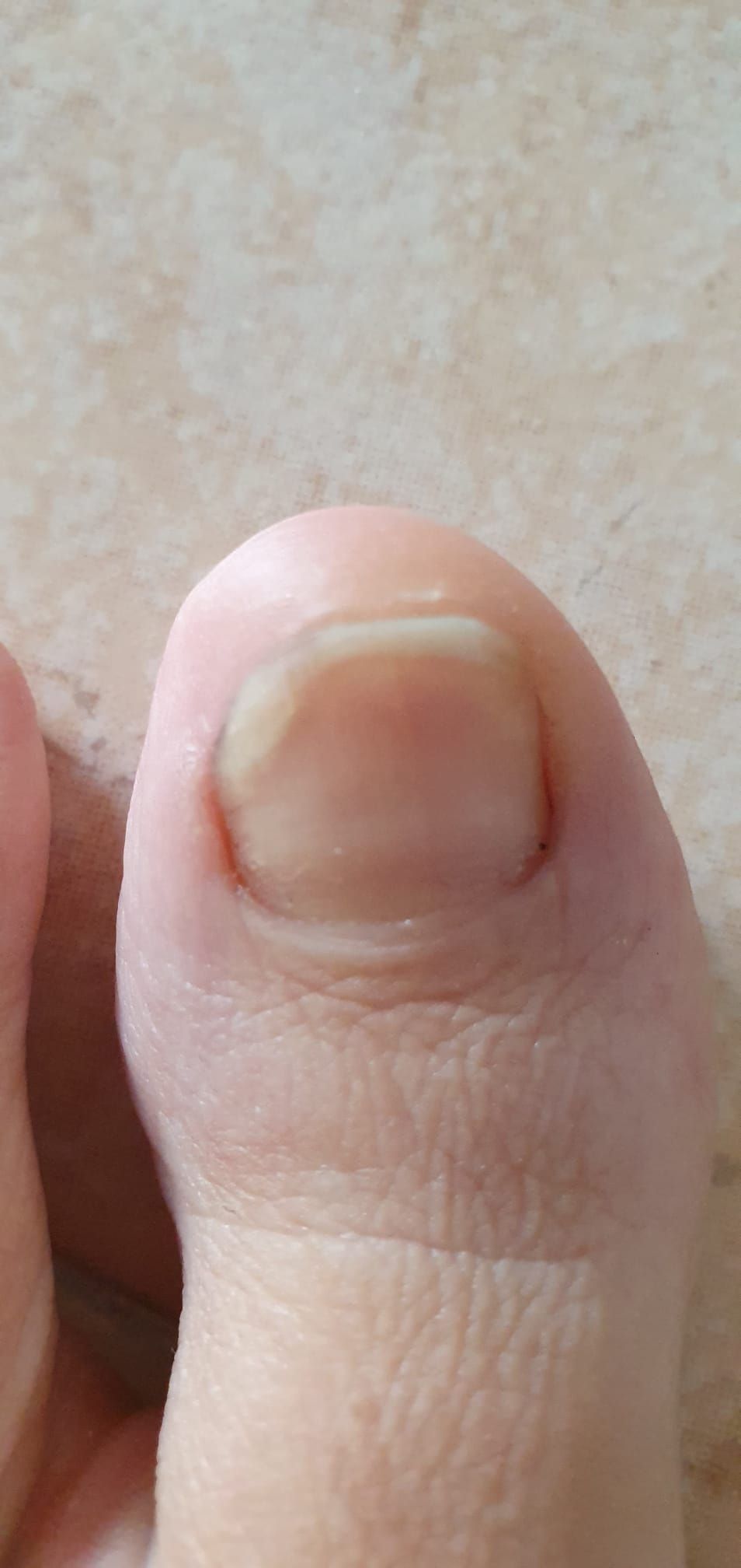 Kassandra Nicolosi-59