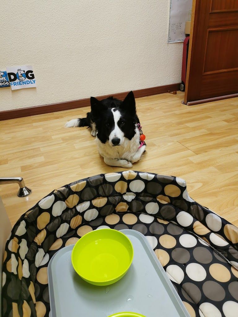 Leticia García Castelló-25