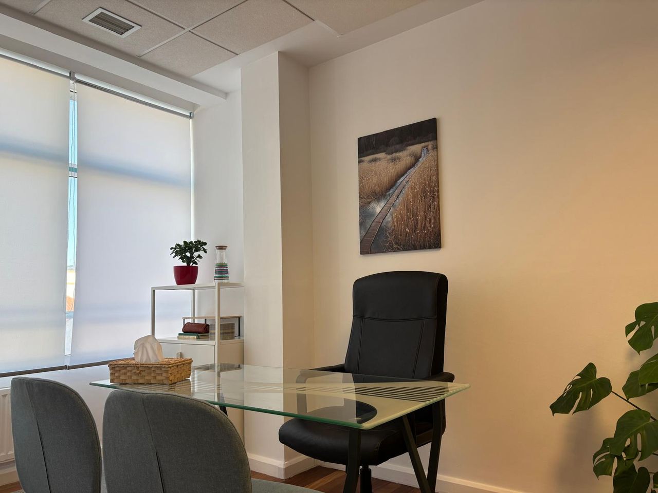 Patirke Gutiérrez Lara-3