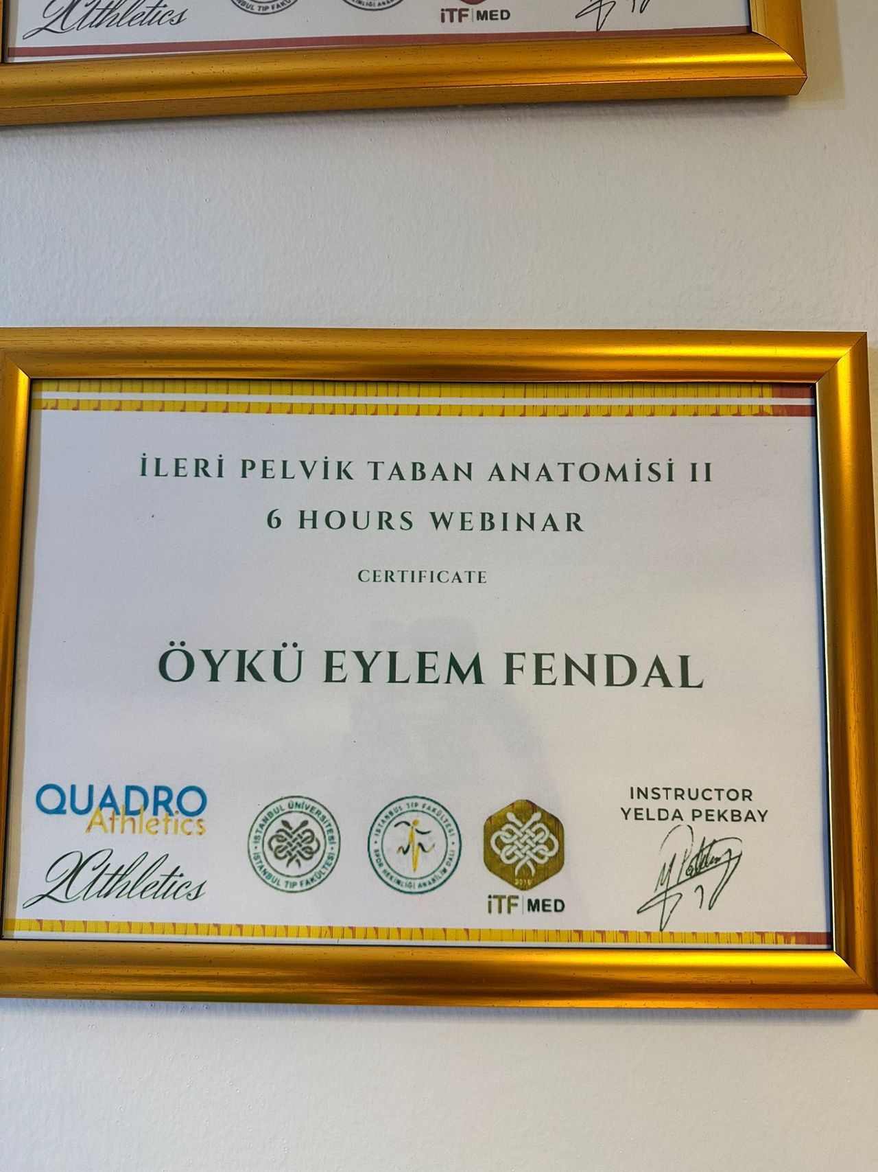 Öykü Eylem-1