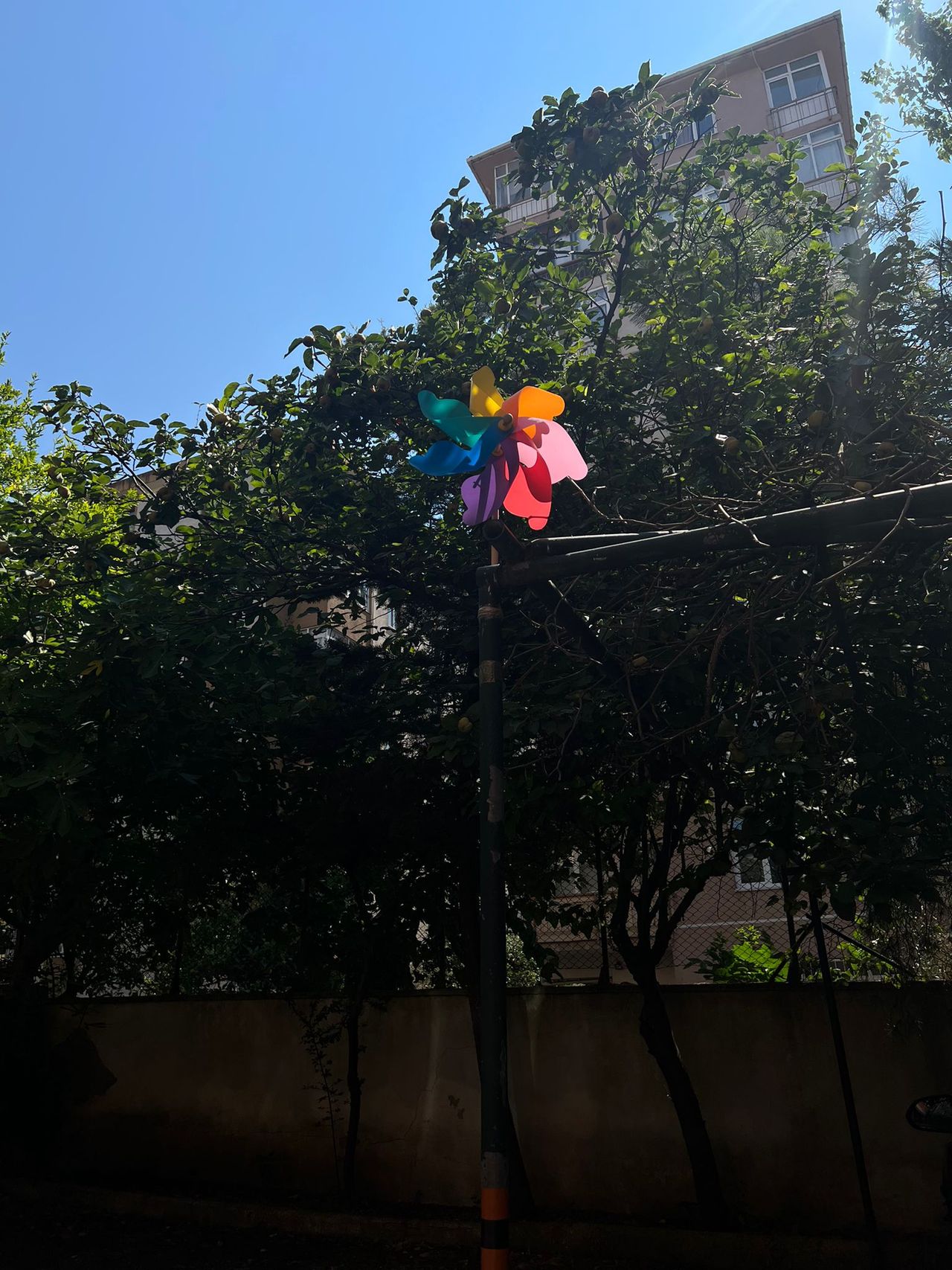 Sarah Merve Ahmad-19