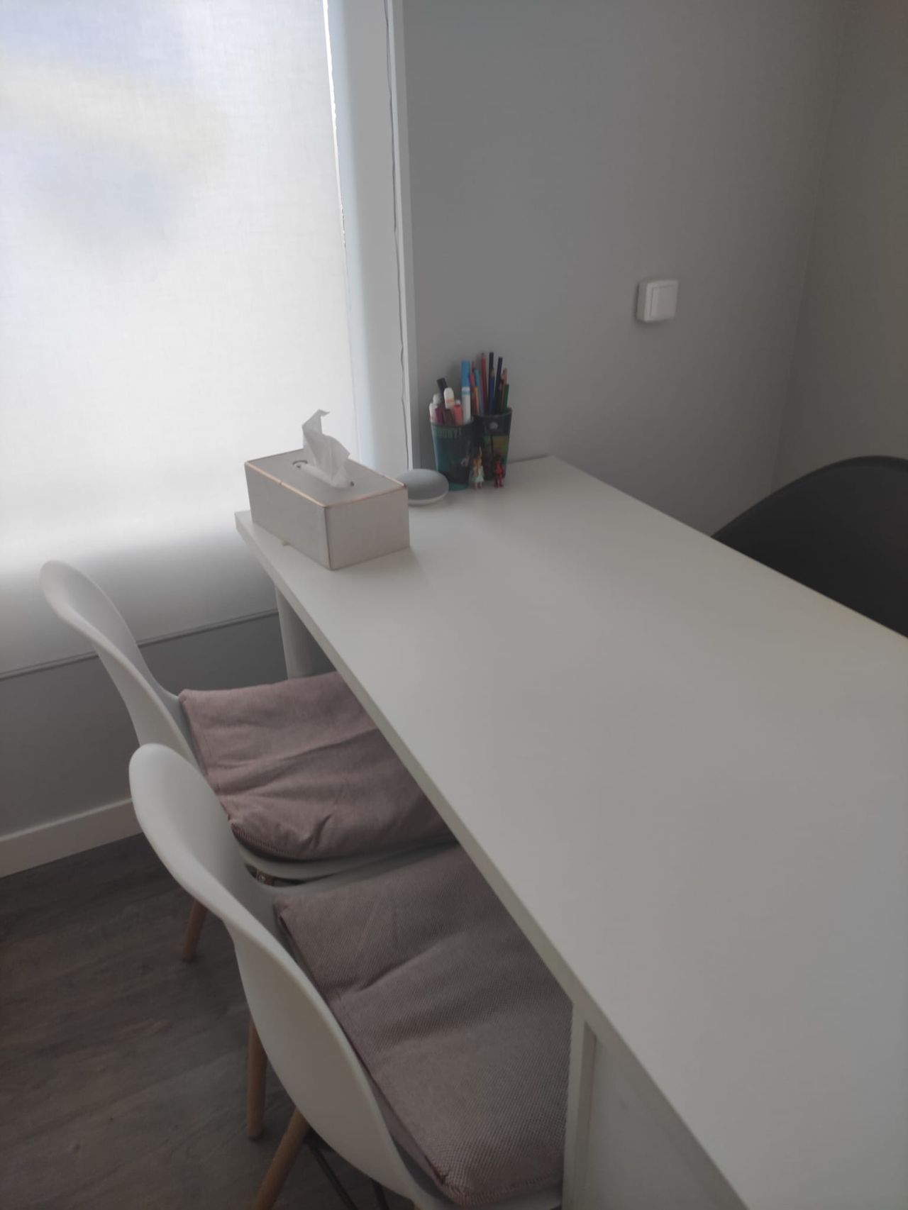 Mari Carmen Carrero Novillo-3