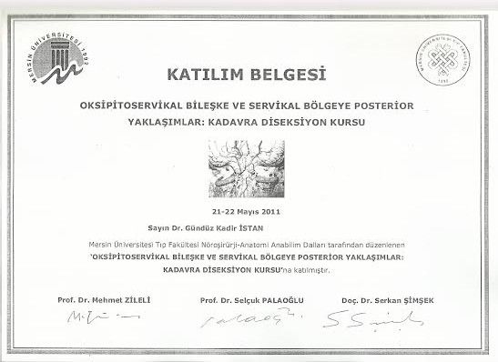 Gündüz Kadir İstan-8