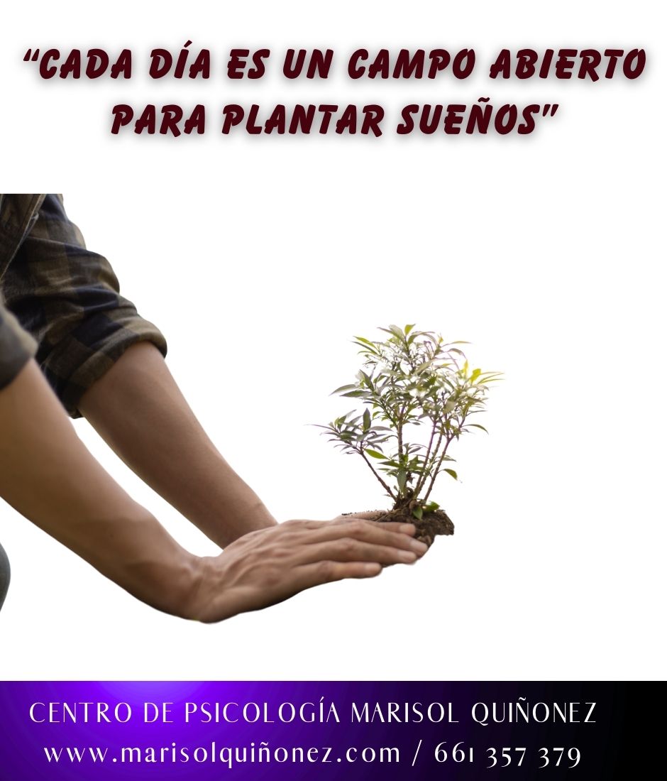 Marisol Quiñonez Quintero-101