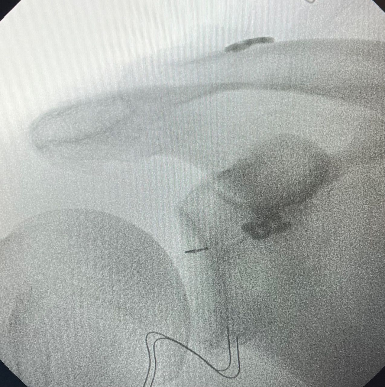 Manel Panadero Moncusi-14