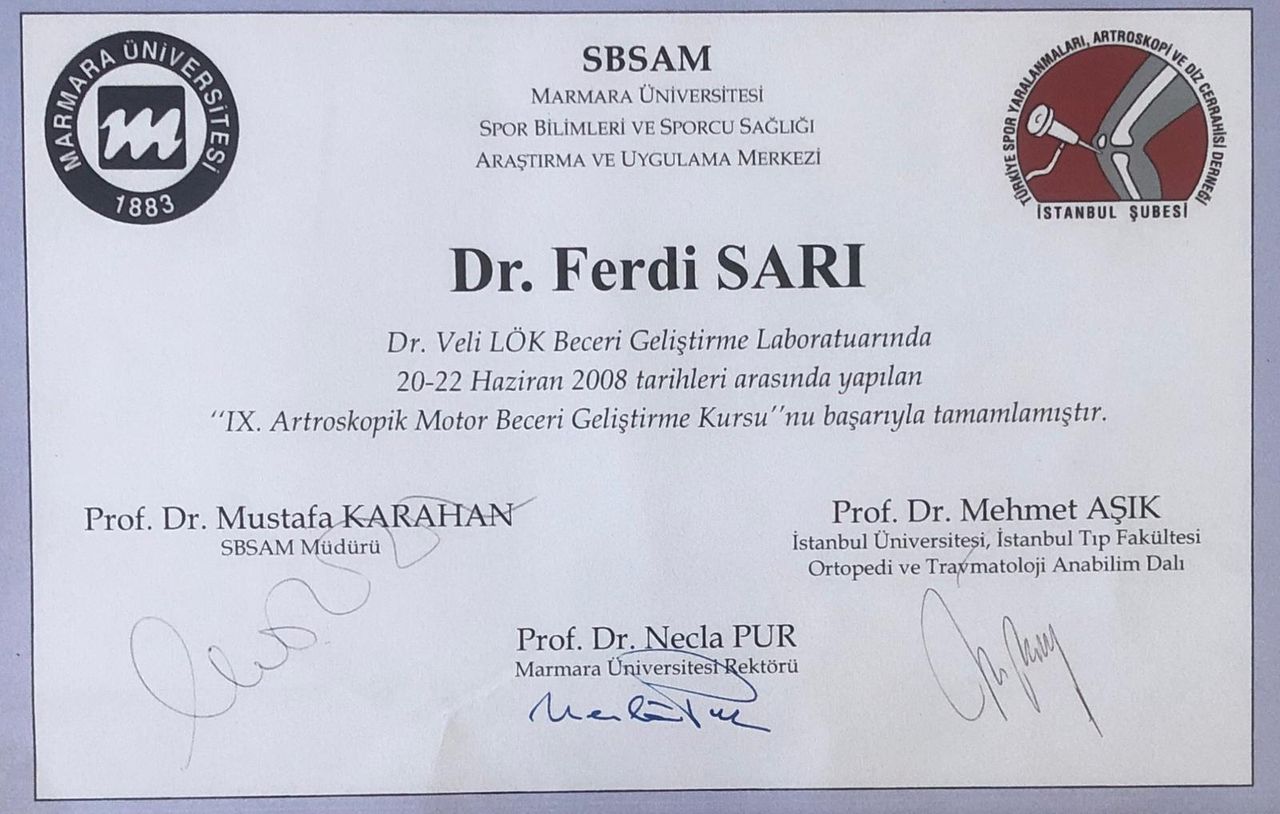 Ferdi Sarı-4