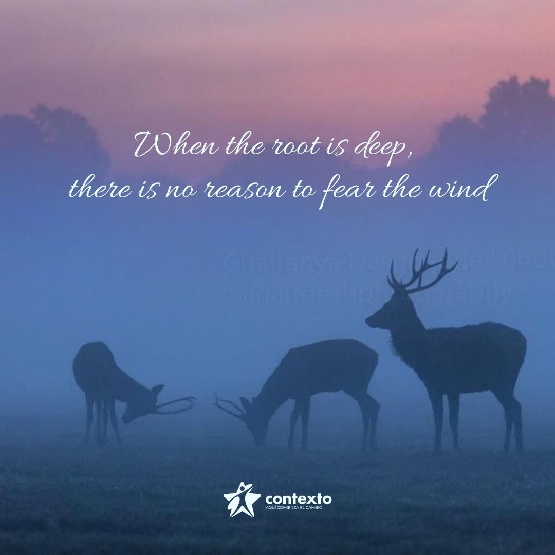 Acerina Ramos Amador-52