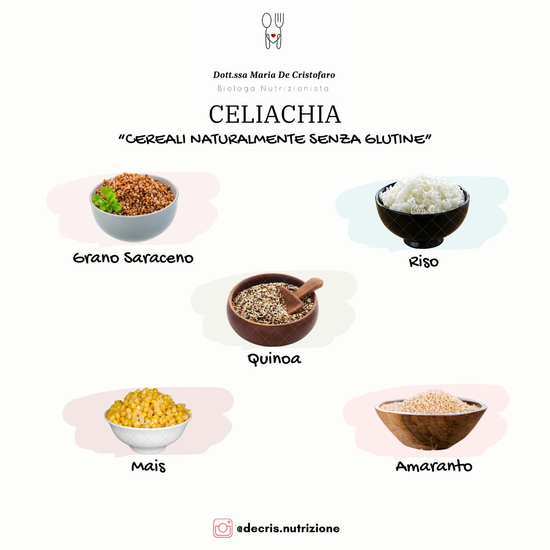 Maria De Cristofaro-6