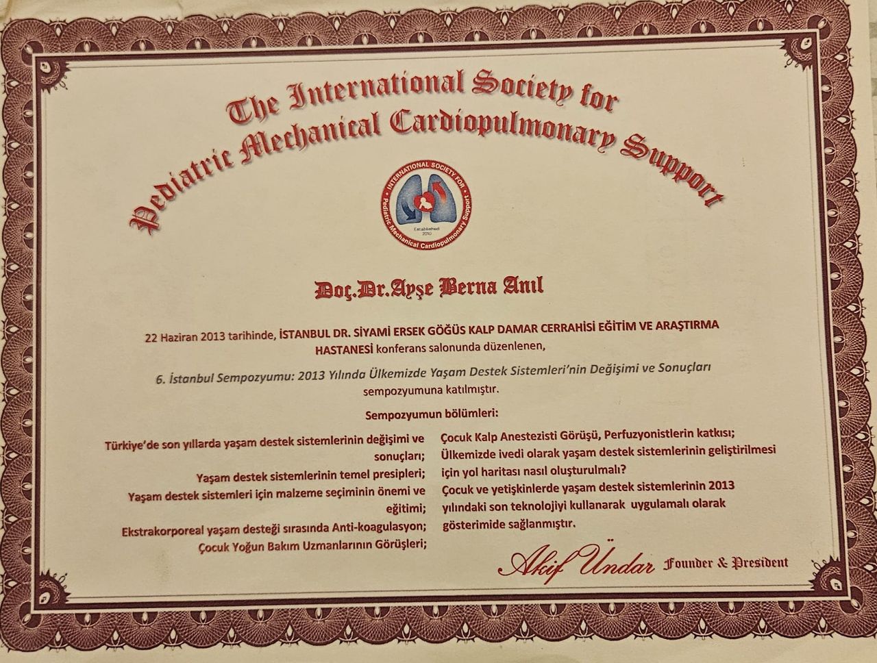 Ayşe Berna Anıl-26