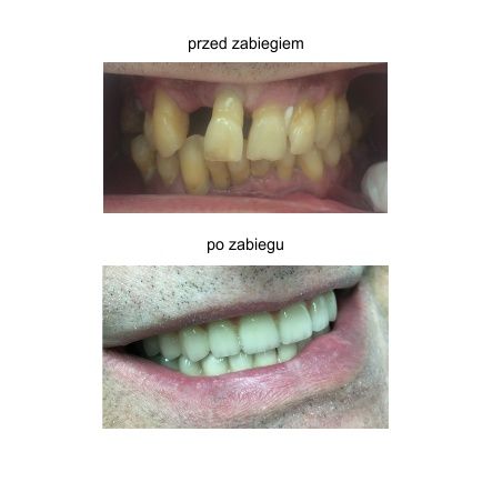 Agnieszka Ewa Sicińska-35