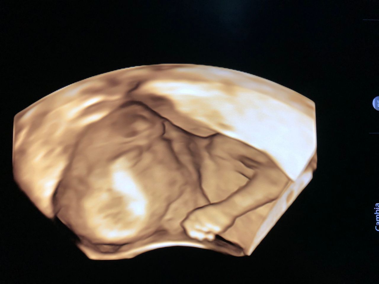 Mariella Amendolara-3