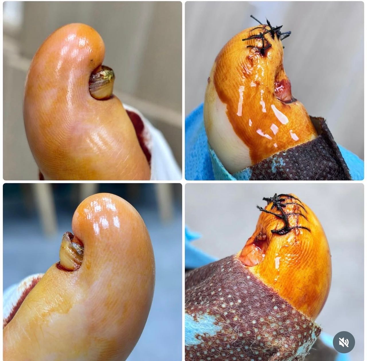 Laura Ortolá Esteve-3