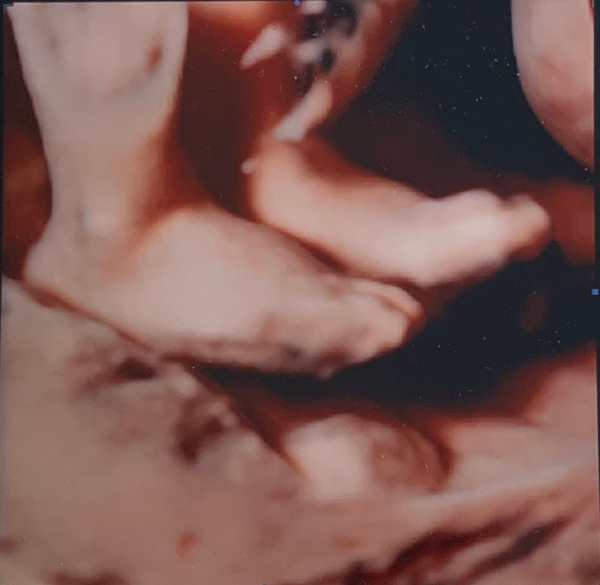 Andrzej Kałamacki-28