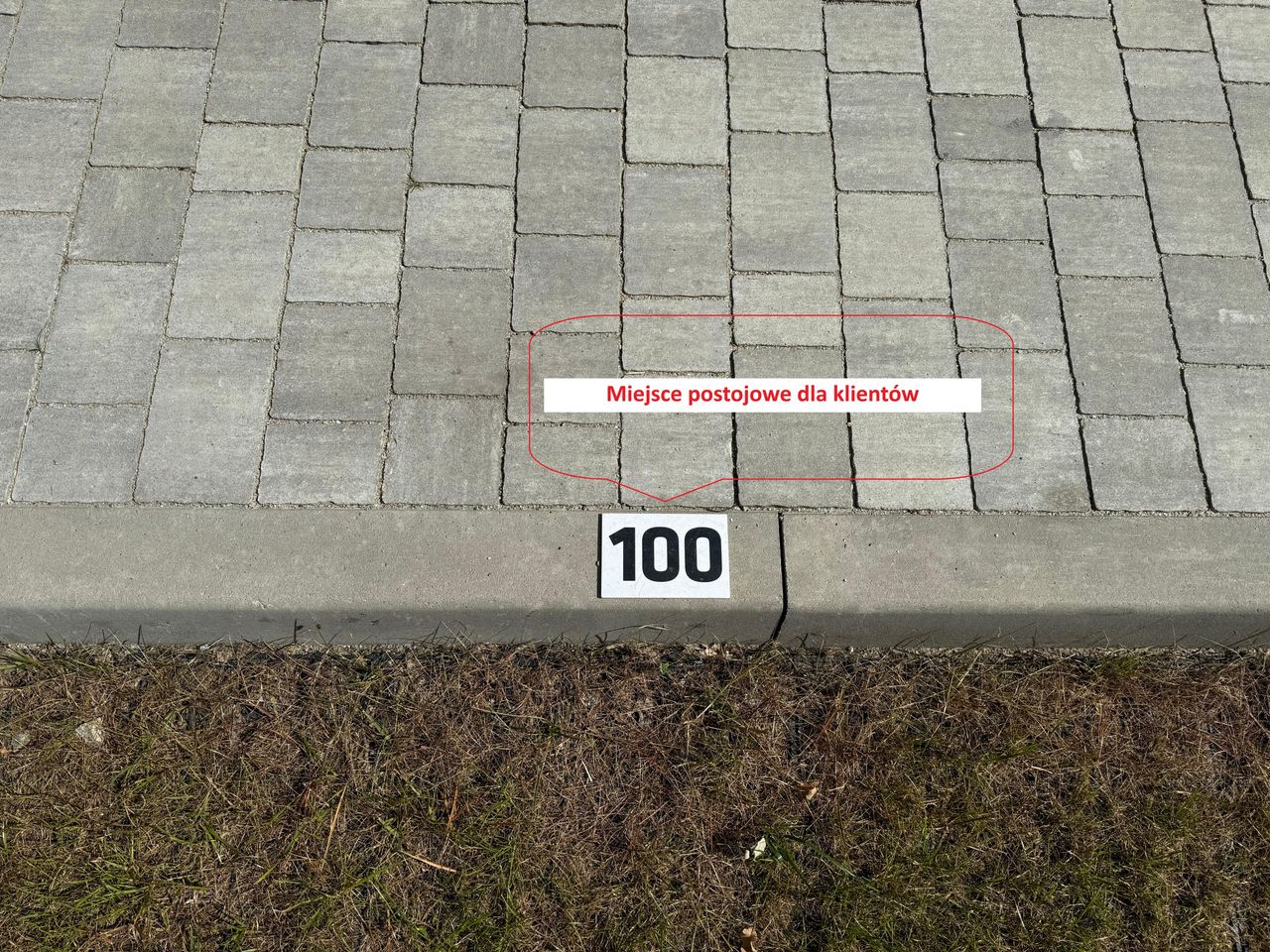 Justyna Urbanowicz-12