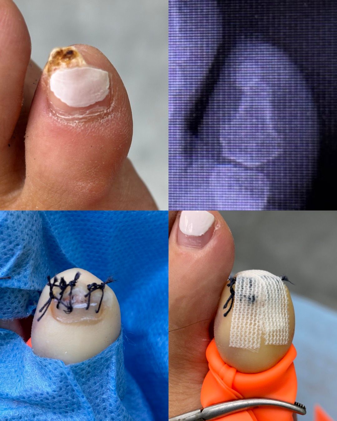 Laura Ortolá Esteve-5