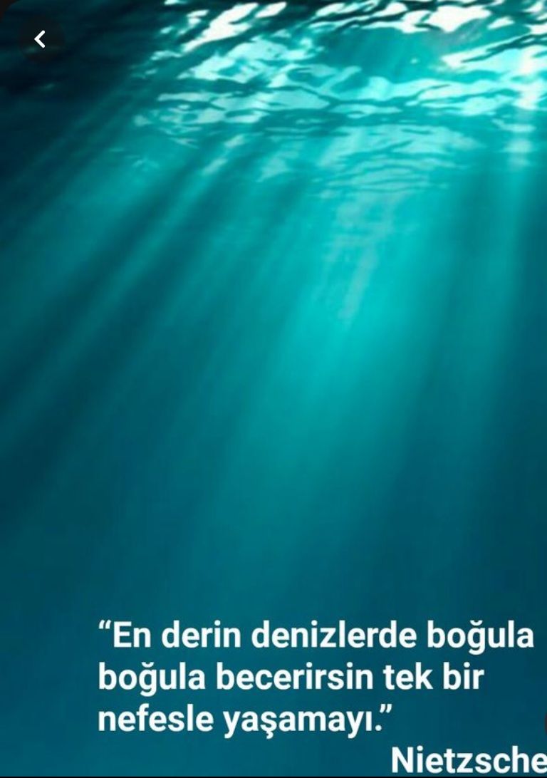 Ayşen Betül Okat-33