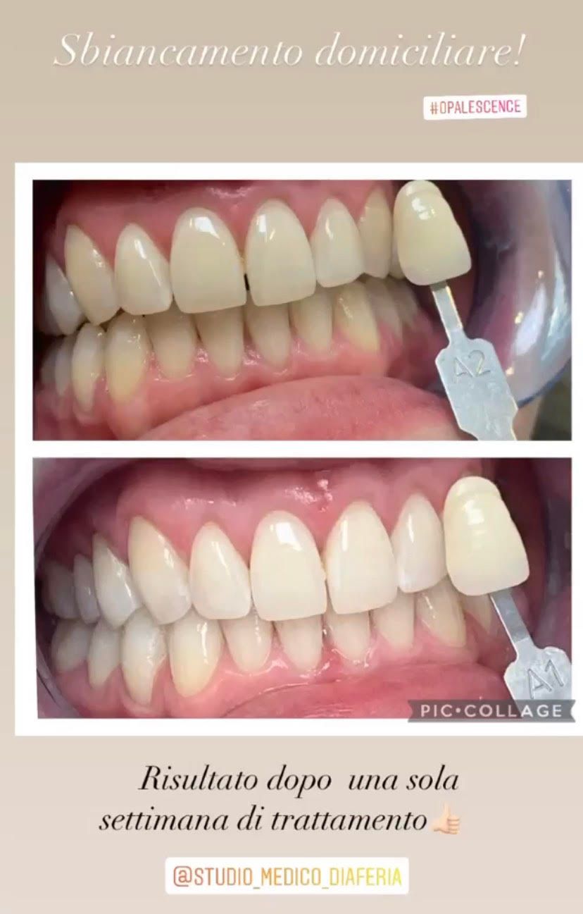 Maria Grazia Diaferia-29