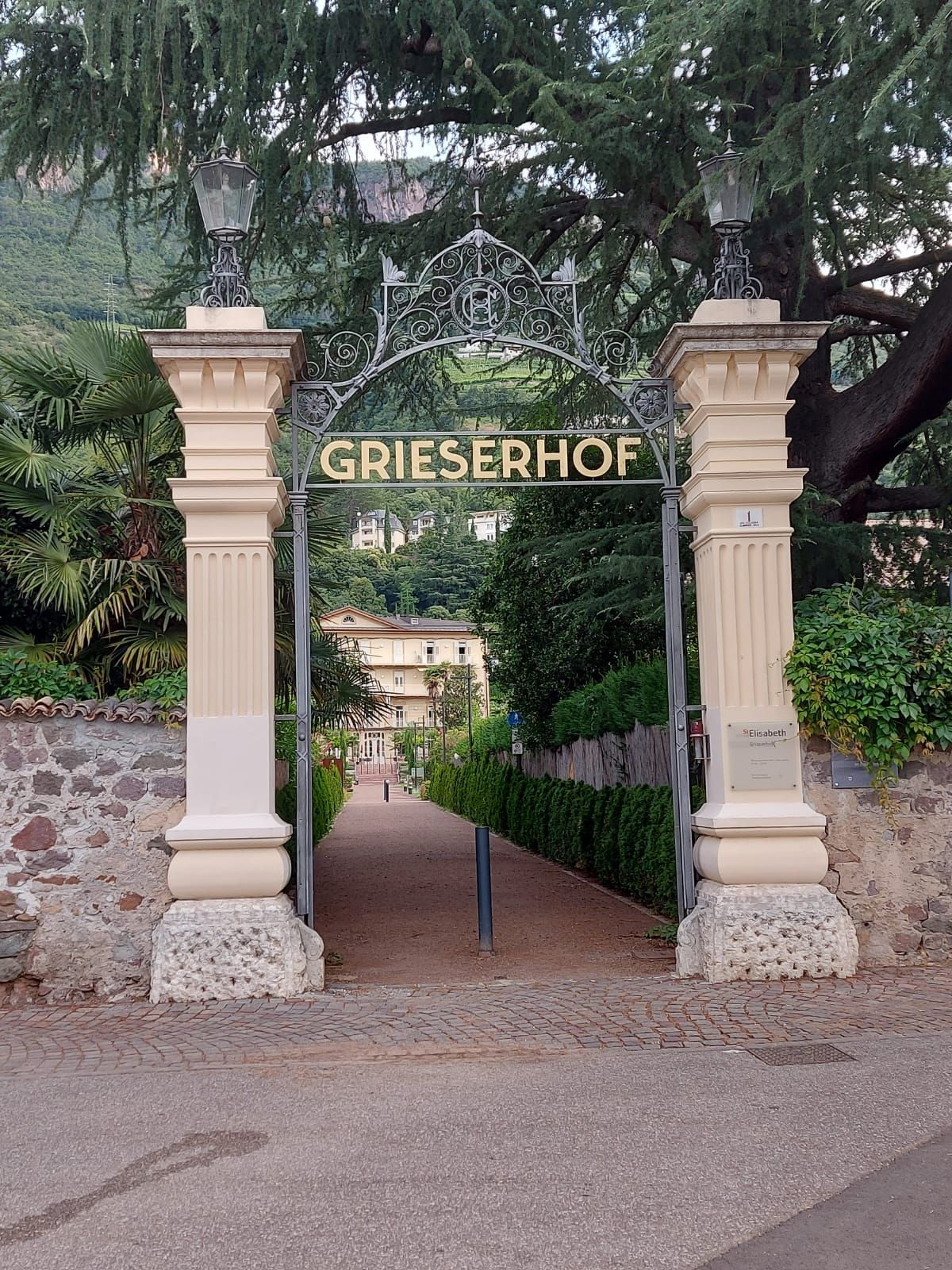 Benedetta Pesavento-0