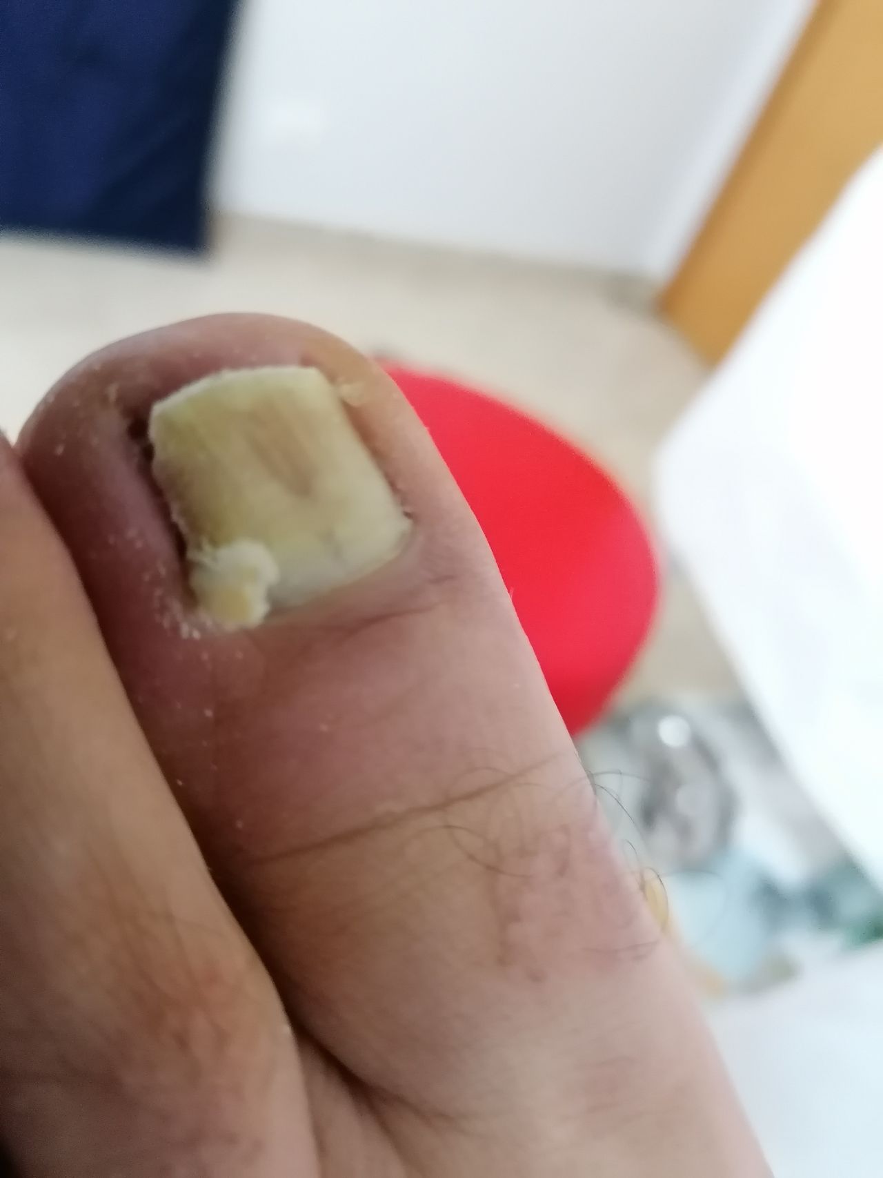 Kassandra Nicolosi-271