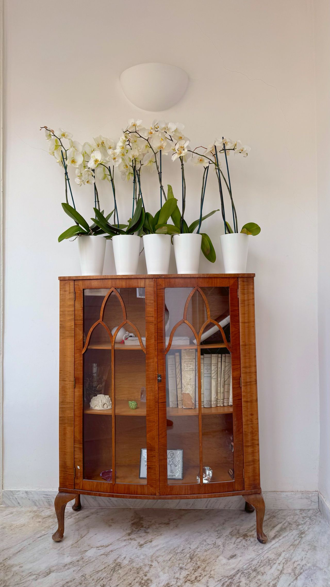 Rosetta Cappelluccio-4