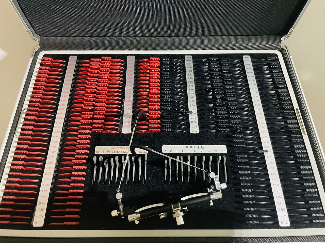 Maria Paola Laezza-2