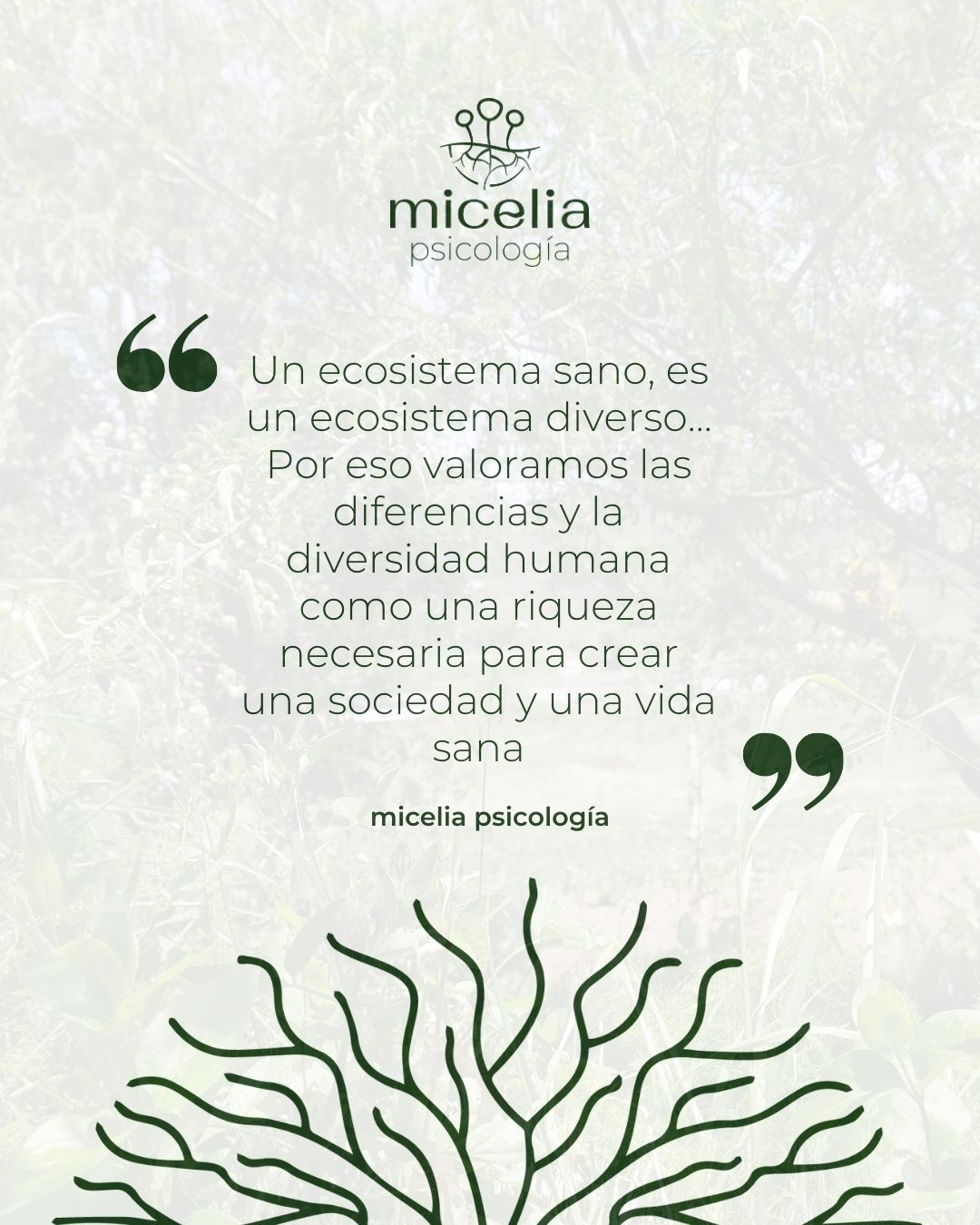 Carolina Martín Vázquez-20