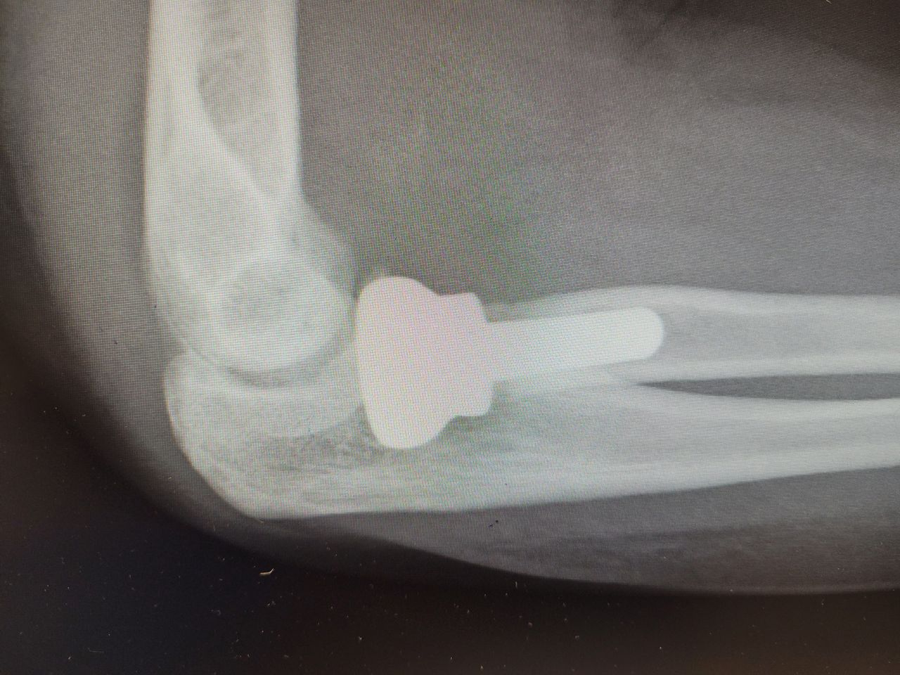 Mateusz Orzechowski-4