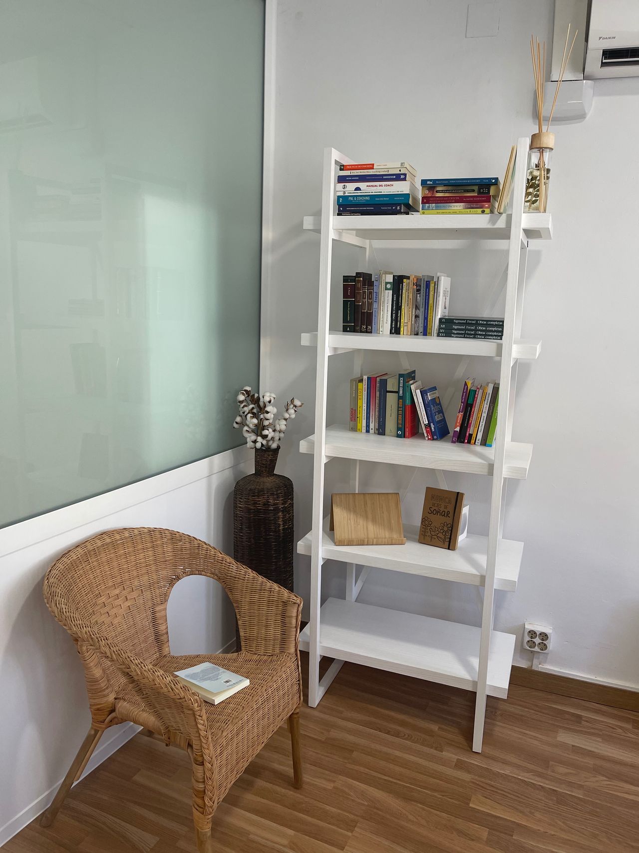 Carmen Salinas Ruiz-1