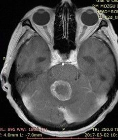 Jarosław Andrychowski-50