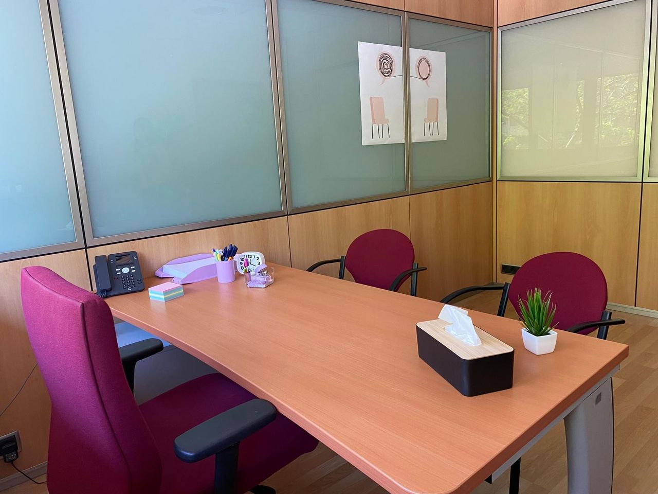 Elisabet Céspedes Borrisser-2