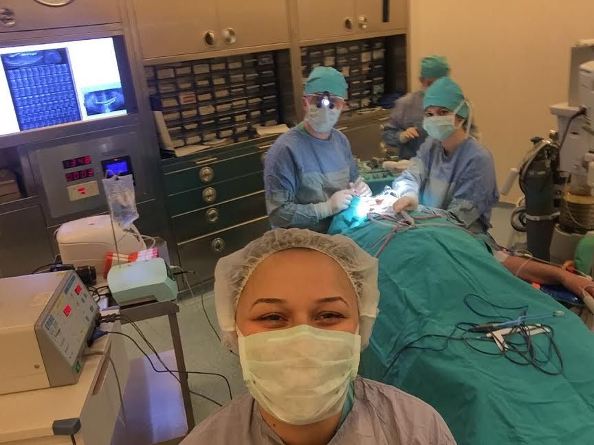 Tolga Gülçiçek-26