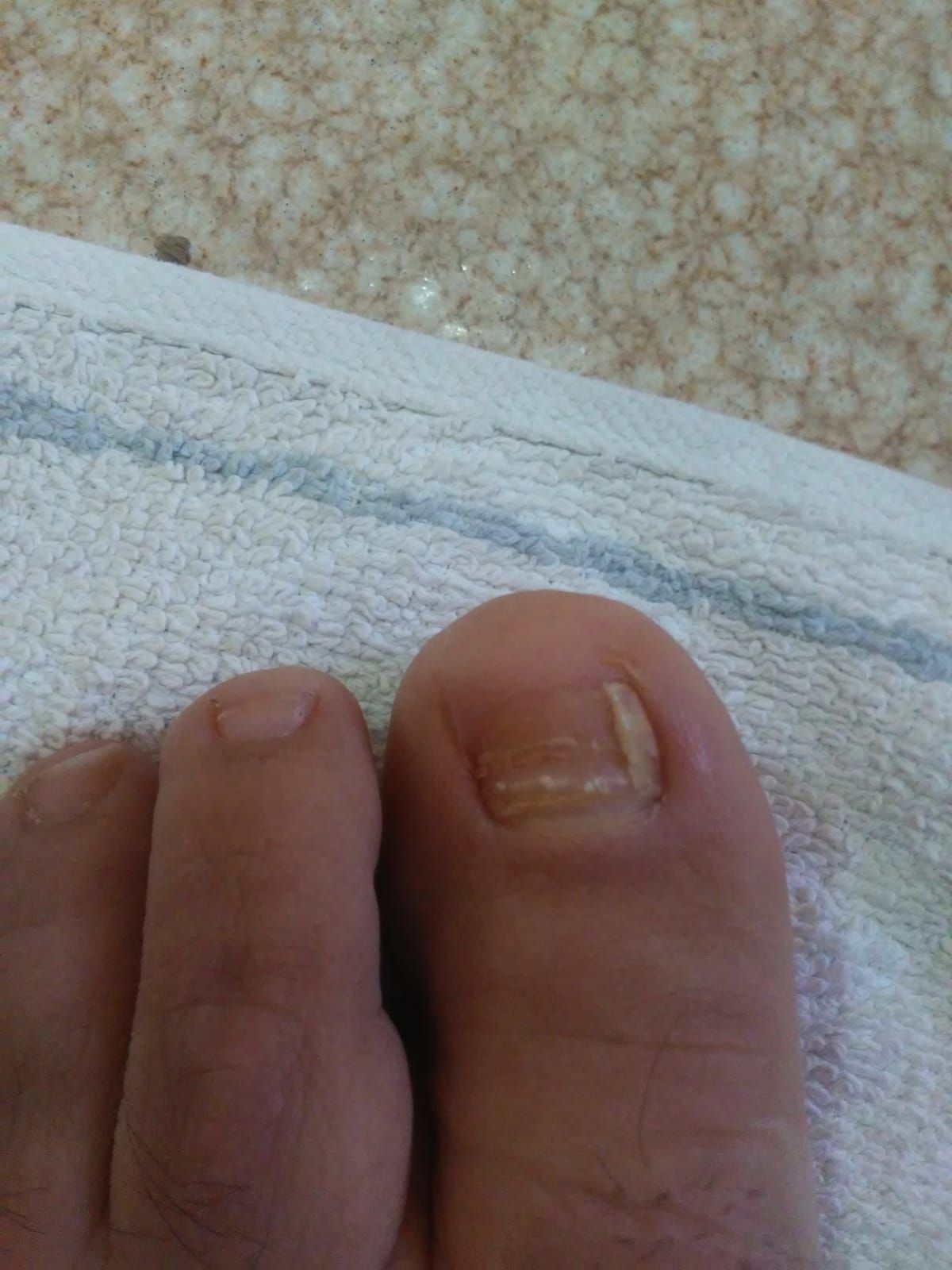 Kassandra Nicolosi-64