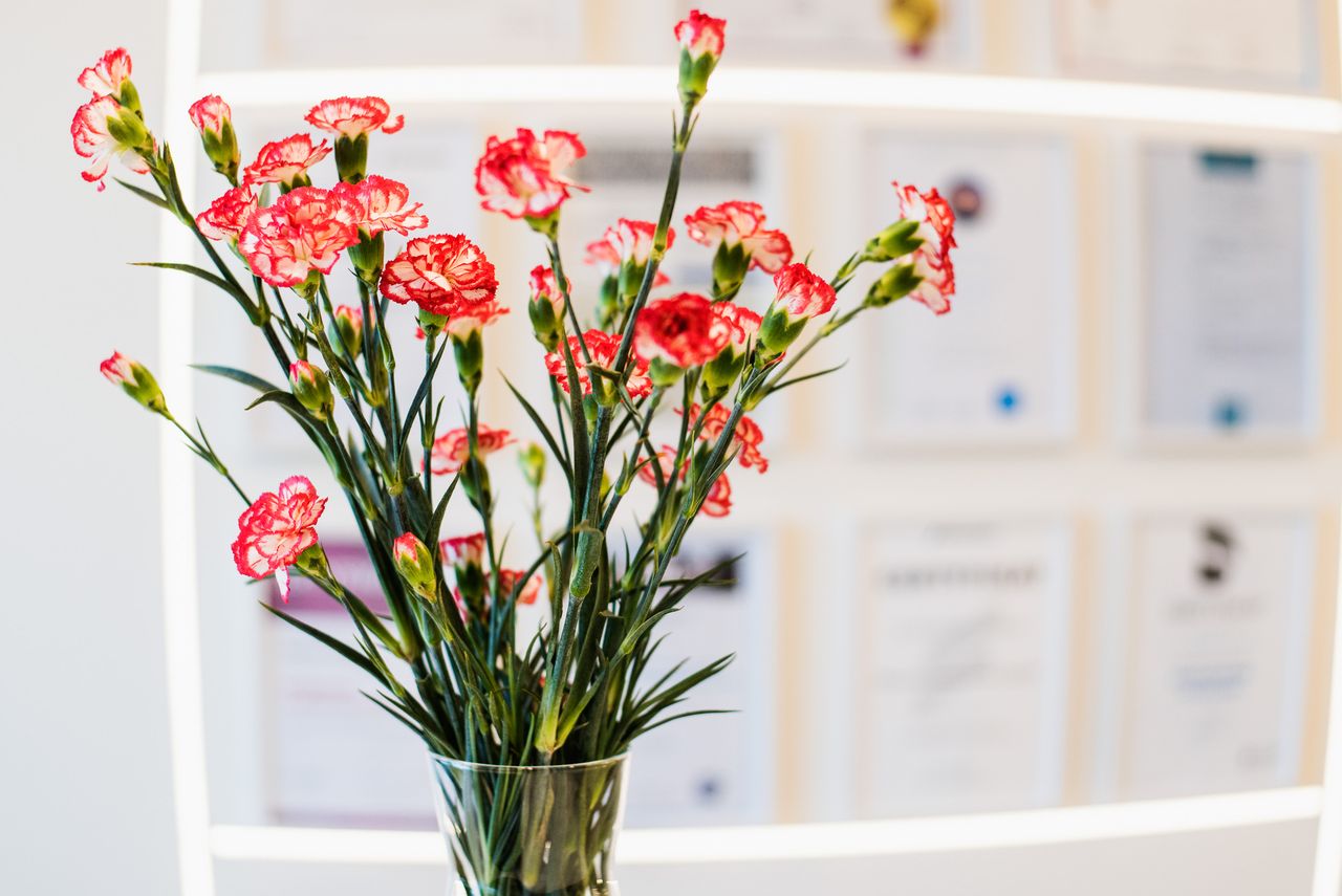 Magdalena Przybysz-2