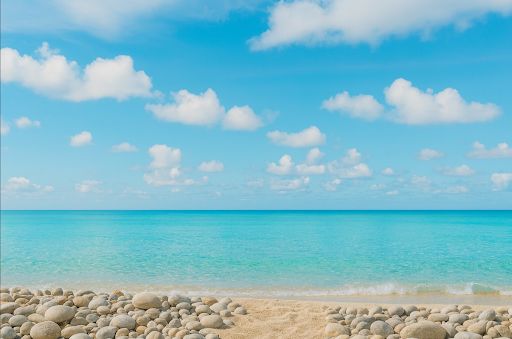 Margalida Serra Tugores-1