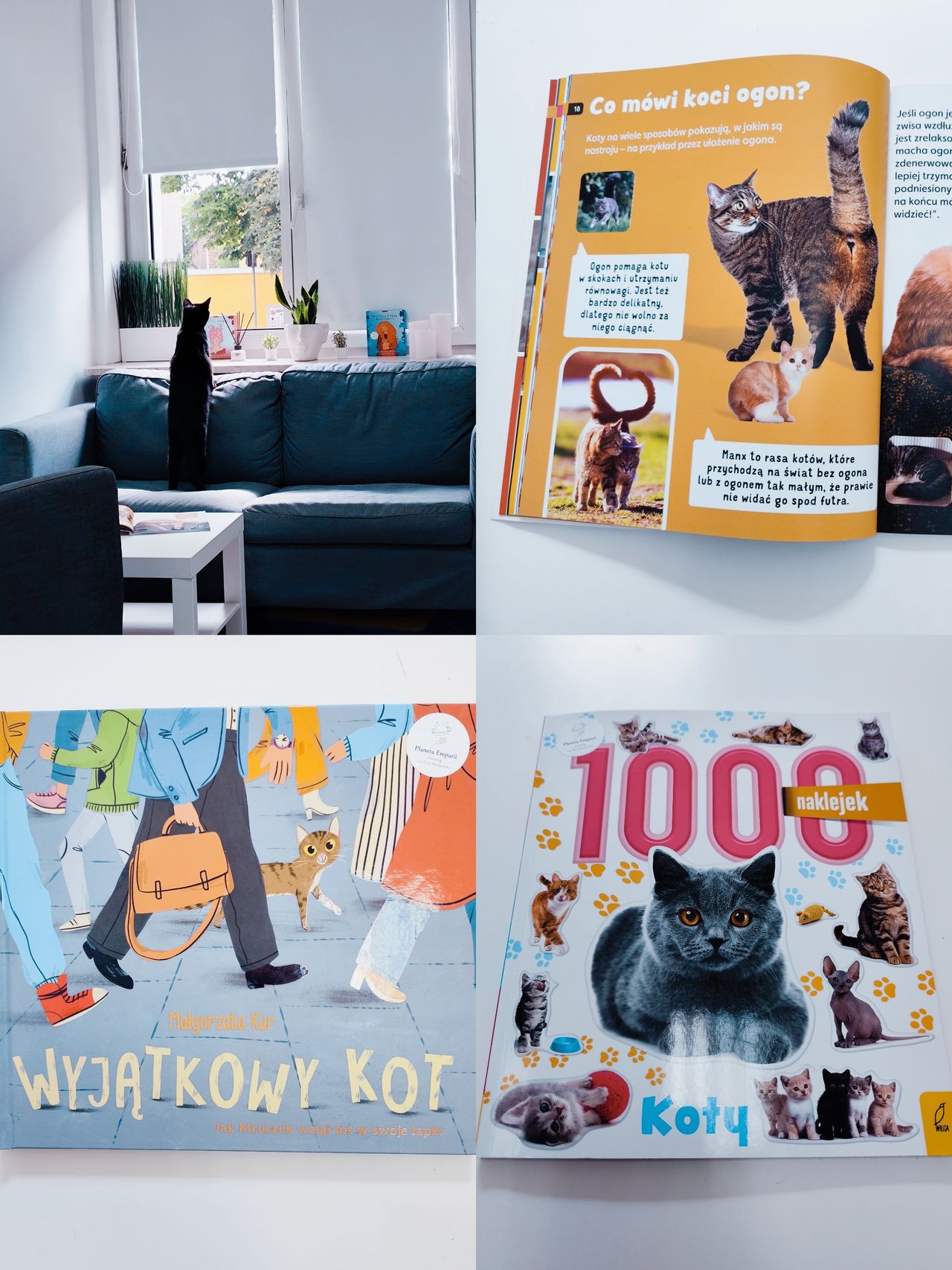 Daria Maciejewska-27