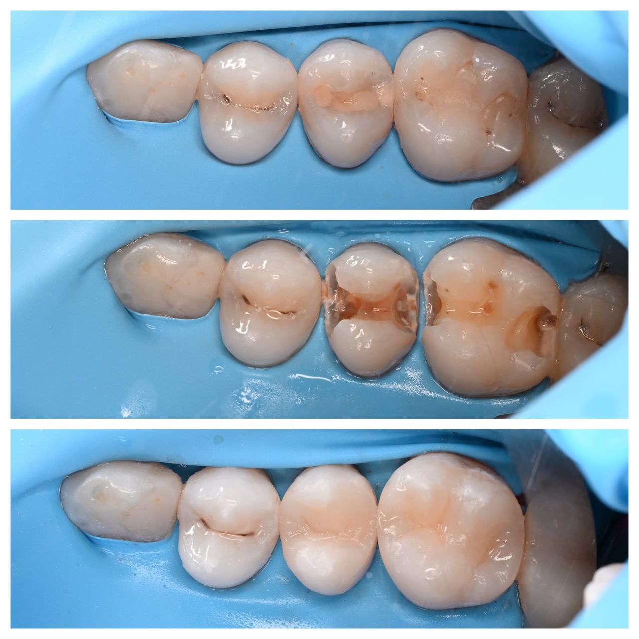 Agnieszka Ciesielska-1