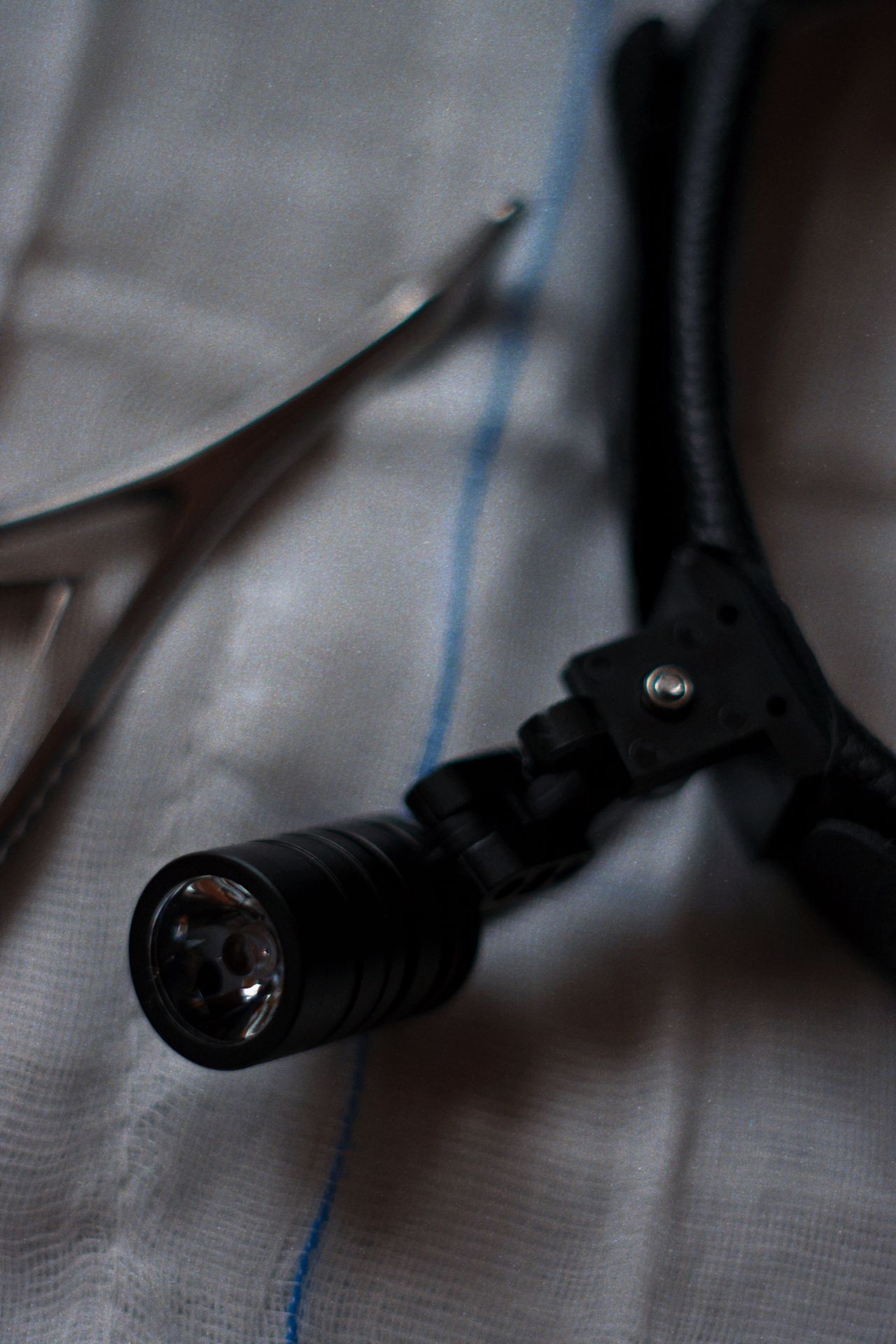 Mariaconsiglia Santantonio-4