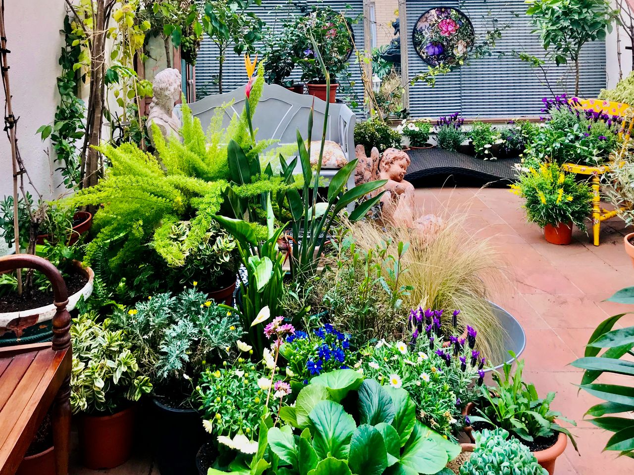 Mariona Rodríguez-11