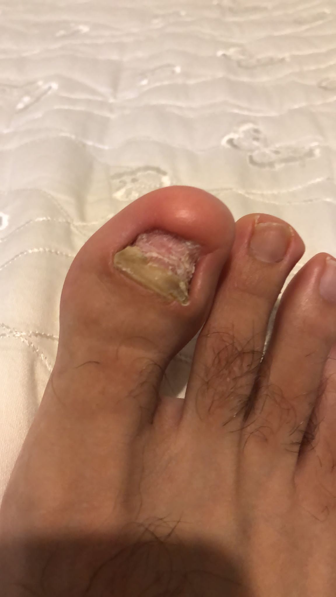 Kassandra Nicolosi-170