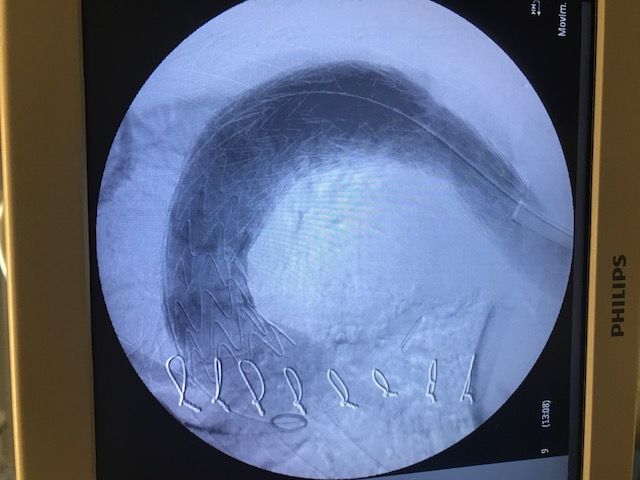Secundino Llagostera Pujol-0