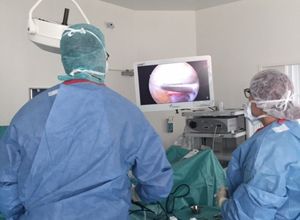 Vassilios Rachaniotis-7