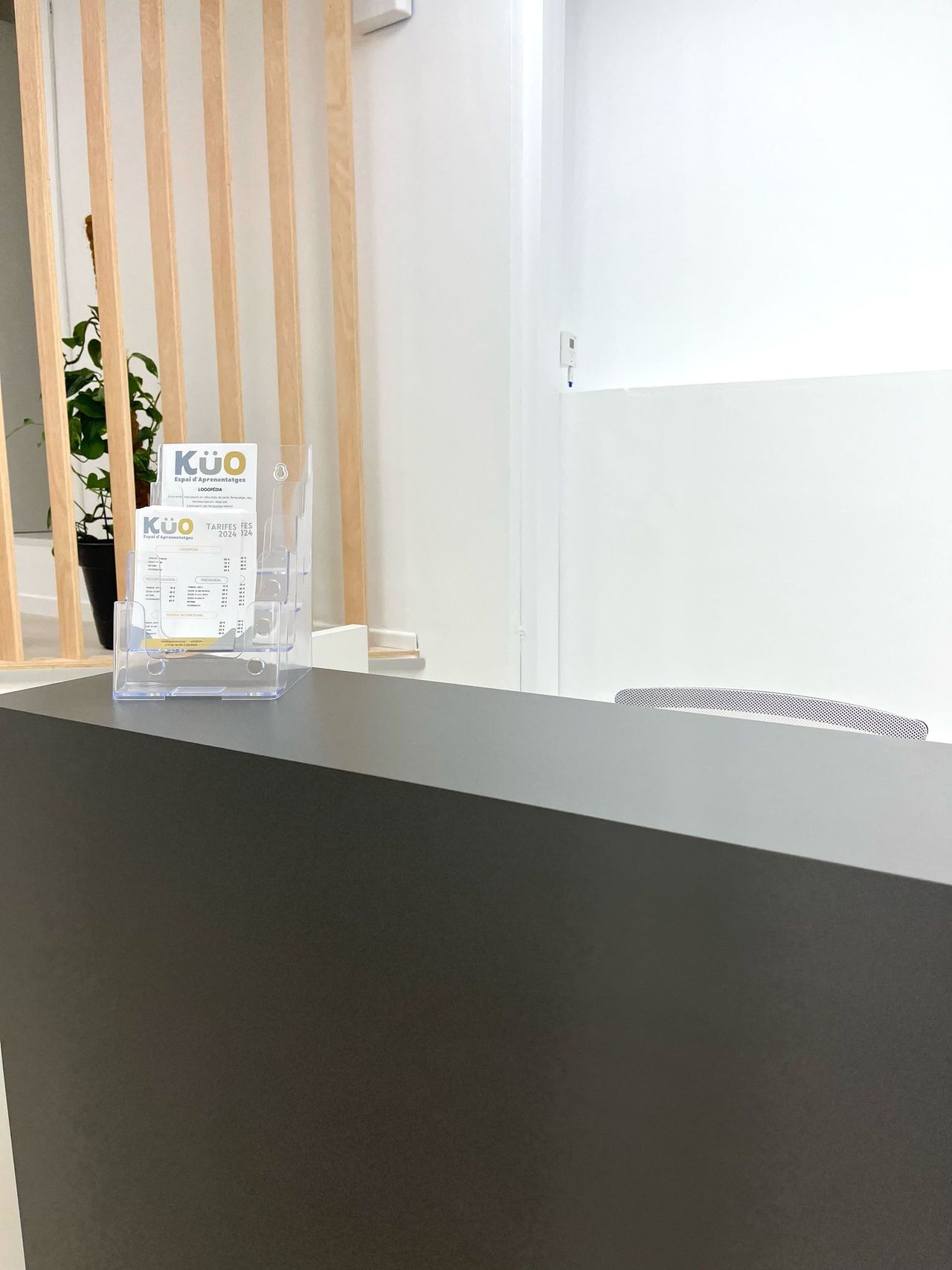 Ruth Vicens Cabrera-9